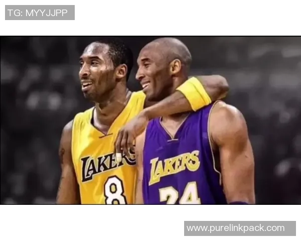 克洛克:从球场传奇到世界足球巨星背后的奋斗故事 克洛克:从球场传奇到世界足球巨星背后的奋斗故事